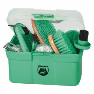 Box na čištění s vybavením green mint