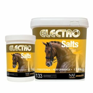 Elektrolyty v prášku při nadměrném pocení Electro Salts