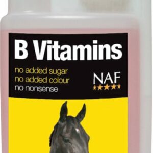 B vitamins pro soustředěnost a vitalitu koní