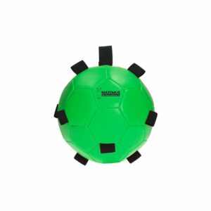 Závěsný míč Maximus 19cm green