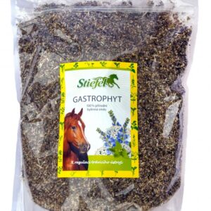 Gastrophyt = Byliny na střeva (Stiefel Gastrophyt, byliny pro regulaci žaludečního a střevního traktu, sáček 1 kg byliny řezané)