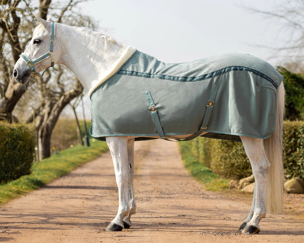 Odpocovací deka Equestrian Dream