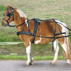 Nylonový postroj Star pro Shetty černý