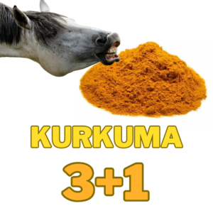 Kurkuma mletá 3+1 kg ZDARMA (Cena je celkem za 4 kg !)