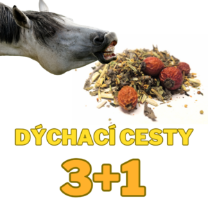 Bylinky na dýchací cesty 3+1kg ZDARMA (Cena je celkem za 4 kg !)