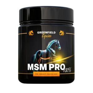 MSM PRO 100% v prášku