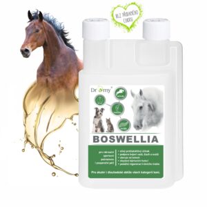 Dromy BOSWELLIA Serrata liquid 1l