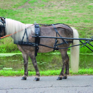 Kožený kompletní postroj Star Economic pro pony