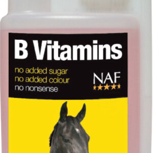 NAF B vitamins pro soustředěnost a vitalitu koní (NAF B vitamins, vitamíny skupiny B pro soustředěnost a vitalitu závodních koní, láhev s dávkovačem)