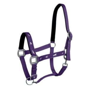 Ohlávka Api Active Horse fialová