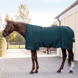 Lehká výběhová deka s vysokým krkem  Waldhausen Arctic Light