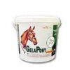 Gelapony VitaMin 1800g