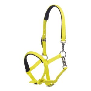 Ohlávka podložená HKM -Millie- neon žlutá