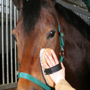 Velký kartáč dřevěný Kerbl středně měkký