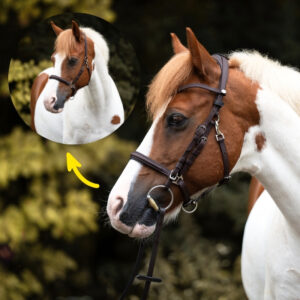 Uzdečka a ohlávka 2v1 Artemis