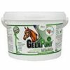 Gelapony VitaMin 900g