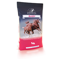 Krmivo pro koně ENERGYS Base Baby 25kg